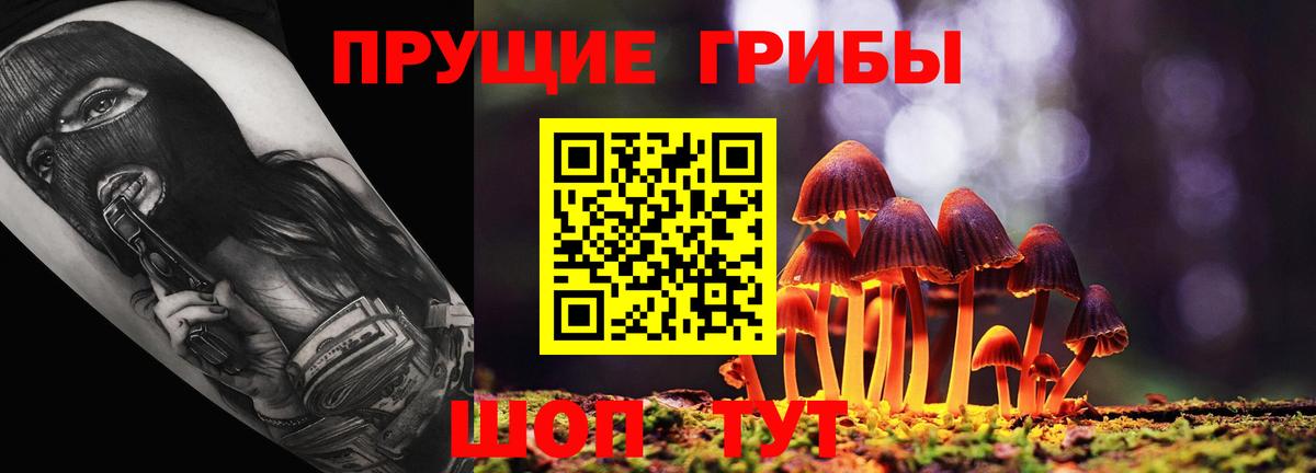 Псилоцибиновые грибы мухоморы Ногинск