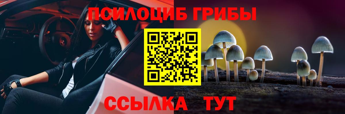 Ногинск  Псилоцибиновые грибы MAGIC MUSHROOMS  хочу наркоту  Псилоцибиновые грибы ЛСД  Вход с VPN 